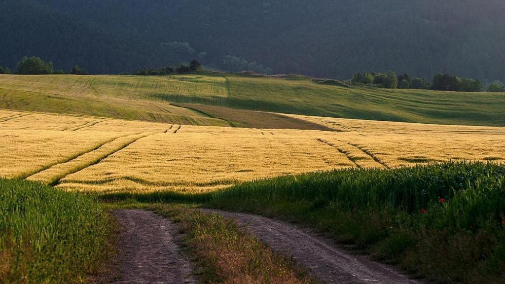 Penzion Mlynárov Dvor Dubrava Exterior foto